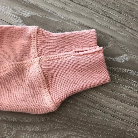 NWT The Great. College Alpine Graphic Sweatshirt in Cameo Pink XS - Picture 5 of 7